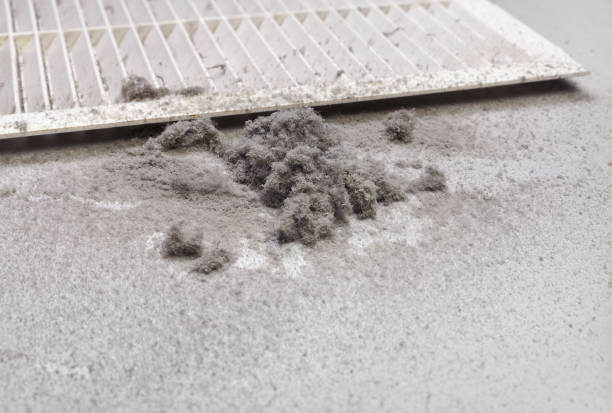 Best Ductwork Cleaning Services  in Robinhood, MS
