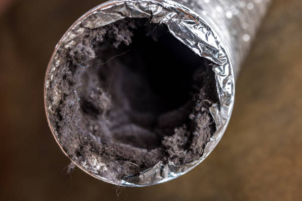 Best Best Air Duct Cleaning Near Me  in Robinhood, MS